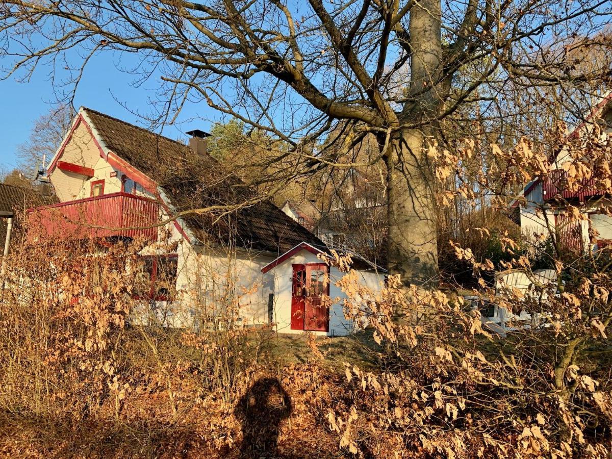 Idylle Seepark - Haus Mit Pool Und Fasssauna Kirchheim  Exteriör bild