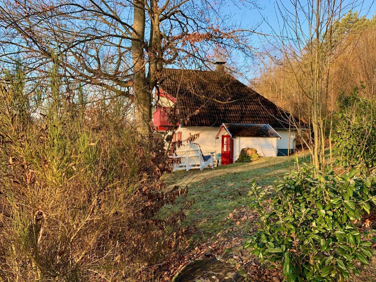Idylle Seepark - Haus Mit Pool Und Fasssauna Kirchheim  Exteriör bild
